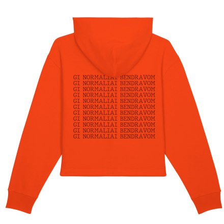 ZIP HOODIE NORMALIAI