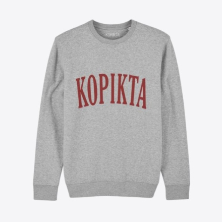KIDS COLLEGE SWEATSHIRT