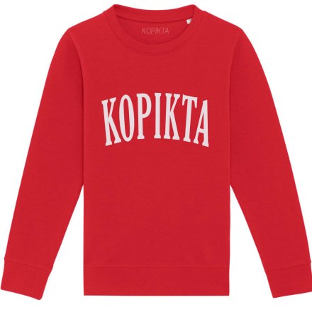 KIDS SWEATSHIRT COLLEGE