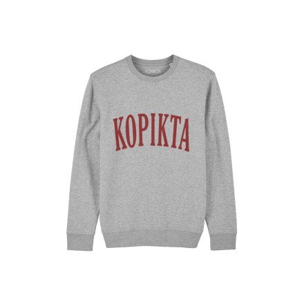 KIDS COLLEGE SWEATSHIRT