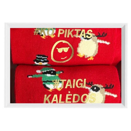 NOVELTY SOCKS (1 PAIR)