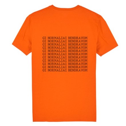 TSHIRT NORMALIAI BENDRAVOM